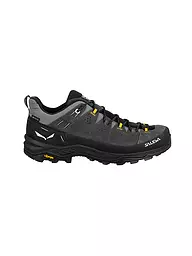 SALEWA | Scarpe da trekking da uomo Alp Trainer 2 GTX | Grigio