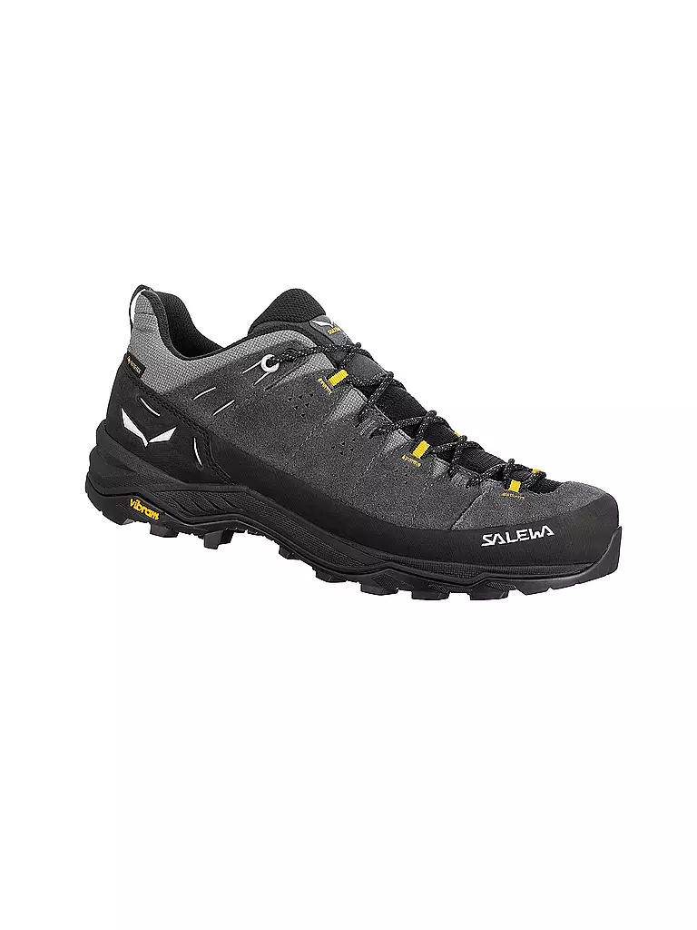 SALEWA | Scarpe da trekking da uomo Alp Trainer 2 GTX |