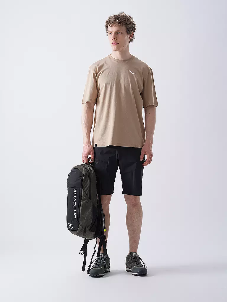 SALEWA | T-shirt funzionale da uomo Eagle Sunset Loose | Beige