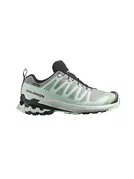 SALOMON | Damen Multifunktionsschuhe XA PRO 3D V9 GTX | Menta
