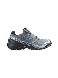 SALOMON | Damen Traillaufschuhe Speedcross 6 GTX | Grigio