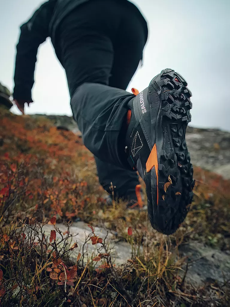 SALOMON | Scarpe da hiking da uomo X Ultra Alpine GTX |