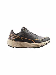 SALOMON | Damen Traillaufschuhe Thundercross GTX W | Grigio