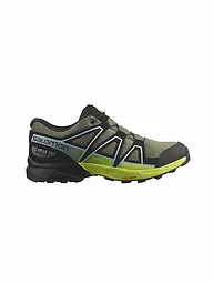SALOMON | Scarpe da trail running da donna XA PRO 3D V9 GTX | Oliva
