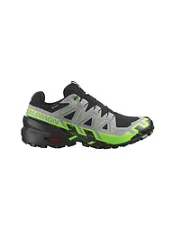 SALOMON | Scarpe da trail running da uomo Speedcross 6 GTX | Grigio