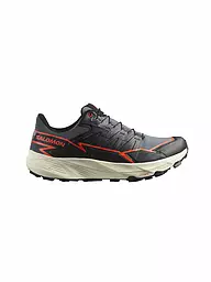 SALOMON | Scarpe da trail running da uomo Thundercross GTX | Grigio