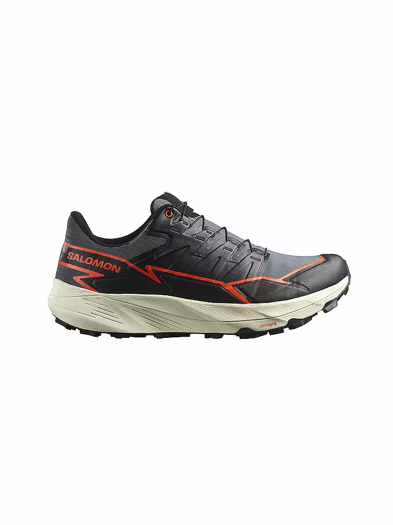 SALOMON | Scarpe da trail running da uomo Thundercross GTX | Grigio