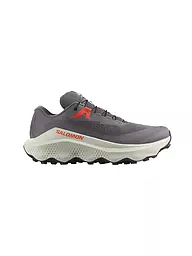 SALOMON | Scarpe da trail running da uomo Ultra Glide 3 | Grigio
