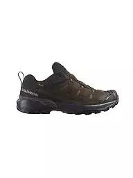 SALOMON | Scarpe da trekking da uomo X Ultra 360 GTX | Marrone