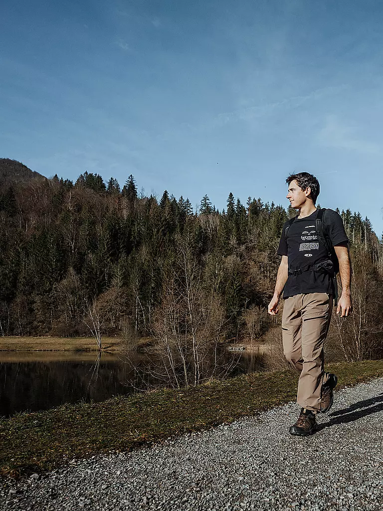 SALOMON | Scarpe da trekking da uomo X Ultra 360 GTX | Marrone