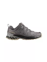 SALOMON | Scarpe multifunzione da donna XA PRO 3D V9 GTX | Bacca