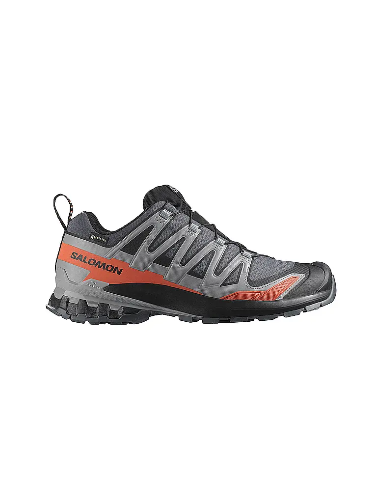 SALOMON | Scarpe multifunzione da uomo XA Pro 3D V9 GTX | Grigio