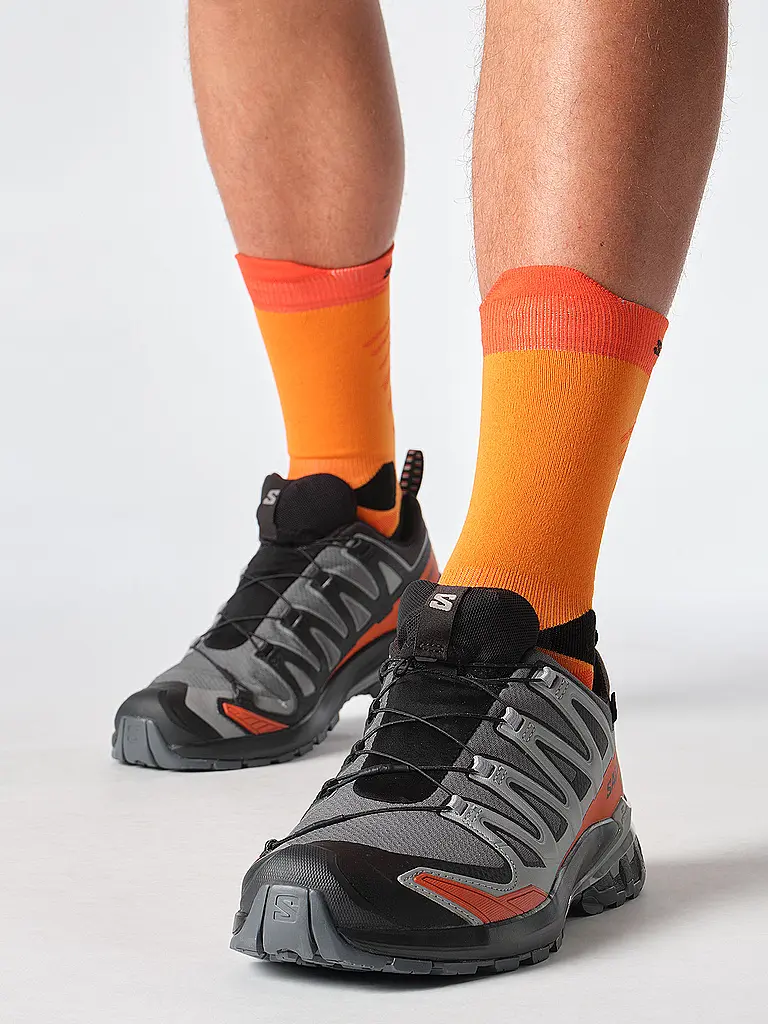 SALOMON | Scarpe multifunzione da uomo XA Pro 3D V9 GTX | Grigio
