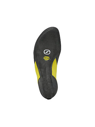 SCARPA | Scarpe da arrampicata da uomo Arpia V
