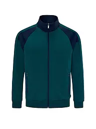 SCHNEIDER SPORTSWEAR | Herren Jacke JEROMEM | Oliva