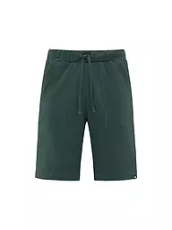 SCHNEIDER SPORTSWEAR | Short da uomo NAVARROM | Verde scuro