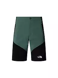 THE NORTH FACE | Short da uomo Felik Slim Tapered | Petrolio
